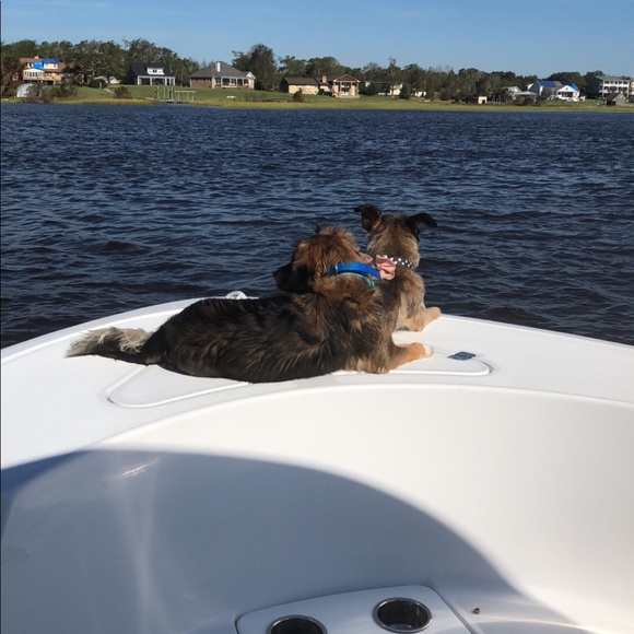 Meet your Posher, Joanne - Picture 8 of 8